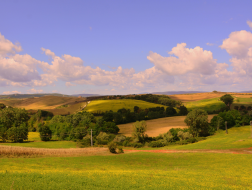 Tour in bici nell’anello del vino di Riparbella
