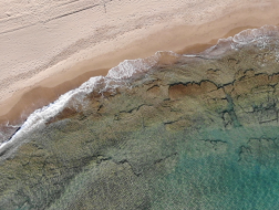 Snorkelling nel promontorio di Piombino