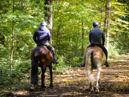 Passeggiata a cavallo con pic-nic