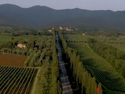 Tour in bici elettrica nella Bolgheri DOC