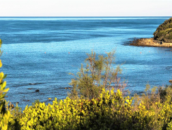 Itinerario Naturalistico dei Monti Livornesi con degustazione di Vini locali